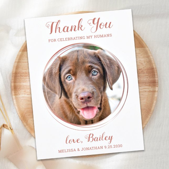 Elegant Rose Gold Pet Hund Hochzeit Vielen Dank Postkarte (Von Creator hochgeladen)