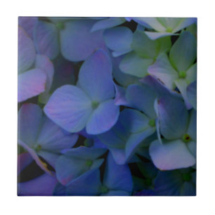 Elegant staubblau lila blumenreich fliese