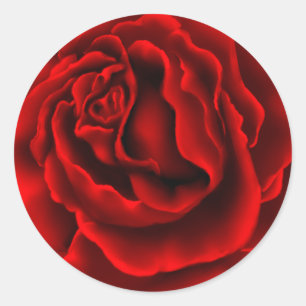 Élégant Sticker Rose Rouge