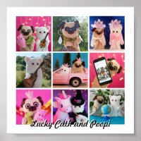Elegant Stylish Simple Personalized Photo Collage