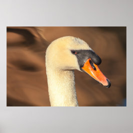 Elegant Swan Head Portrait Poster