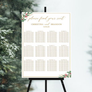 Élégant tableau de sièges de mariage d'hiver