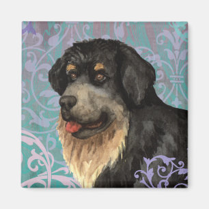 Elegant Tibetan Mastiff Magnet
