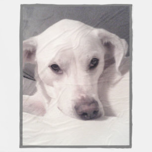 Elegant Tired Eyes Niedlich Labrador Mix Dog Gray Fleecedecke