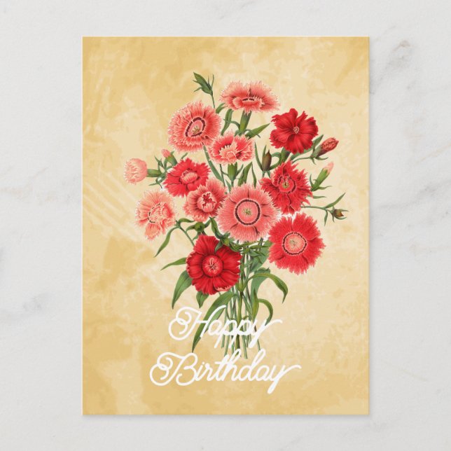Elegant Vintag Dianthus Chinensis Blume Geburtstag Postkarte (Vorderseite)