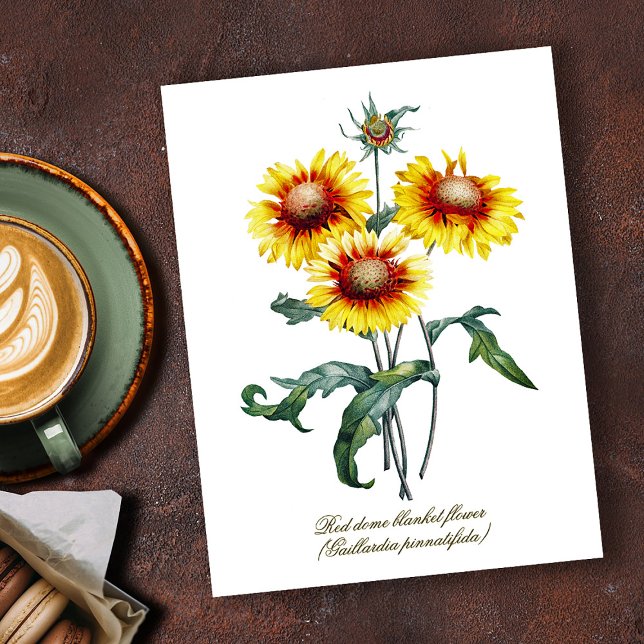Elegant Vintage Botanical Blanket Flower Postkarte (Von Creator hochgeladen)