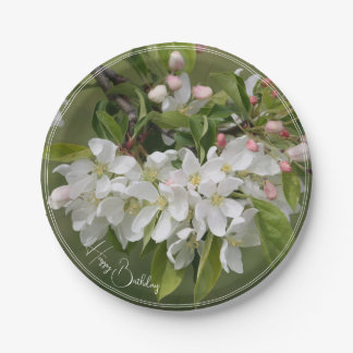 Elegant White Floral Bloom Pappteller