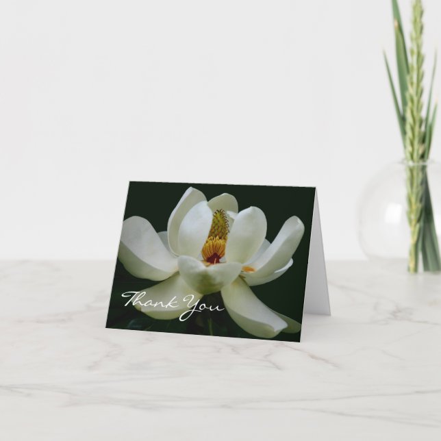 Elegant White Magnolia Dankeschön Karte (Vorderseite)