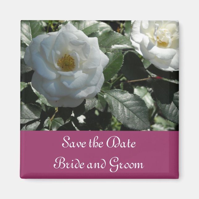 Elegant White Rose Save the Date Magnet (Vorne)