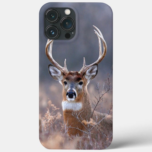 Elegant Whitetail Deer Winter Season Foto Case-Mate iPhone Hülle (Rückseite)