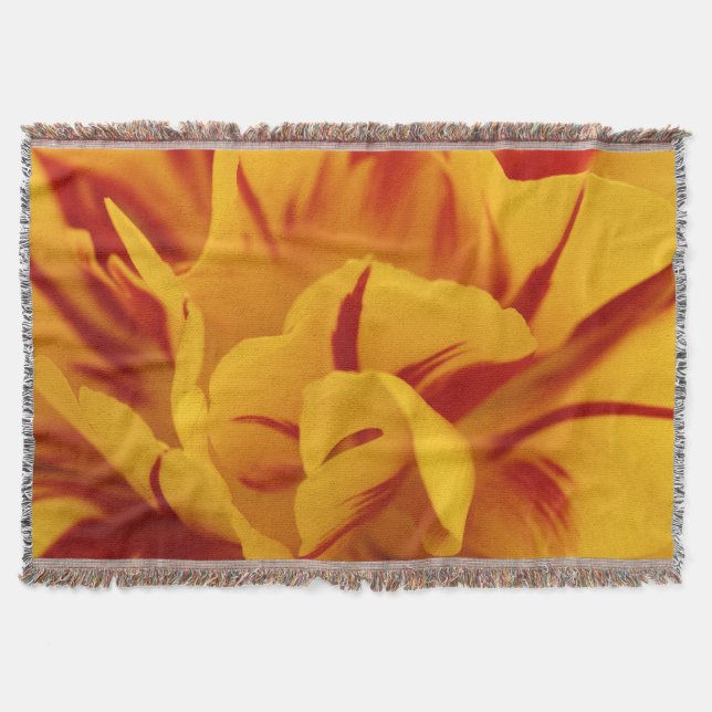 Elegant Zwei-Tone Rotes Gold Monsella Decke (Vorderseite)