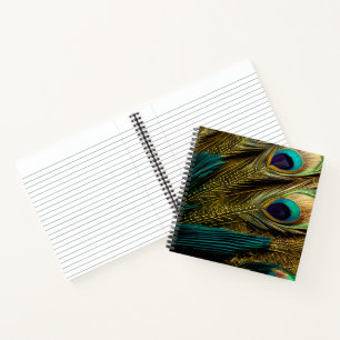 Elegante Abstrakte, Aquamarine Blue Gold Pfauenfea Notizbuch