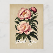Elegante alte rosa Pfingstrose-Blume Danke