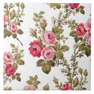 Elegante alte Rosen in Rosa - weißer Hintergrund Fliese