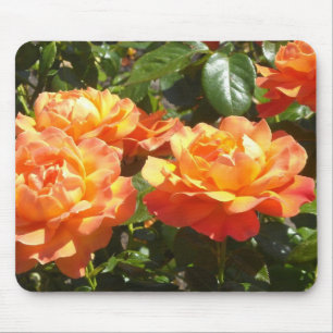Elegante Aprikosenrosen Mousepad