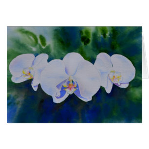 Elégante aquarelle blanche orchidées boho tropical