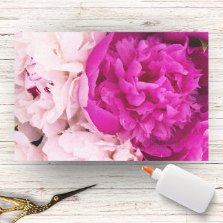 Elegante Baby-Pink- und Fuchsien-Pfingstrosen Seidenpapier