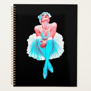 Elegante Ballerina MASI - Museo d'arte della Svizz Planer