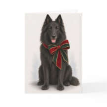 Elegante belgische Schäferhund-Weihnachtskarte