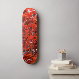 Elegante Blätter für japanisches Ahorn Skateboard