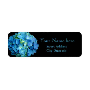 Elegante blaue Blume Blumenhydrangea