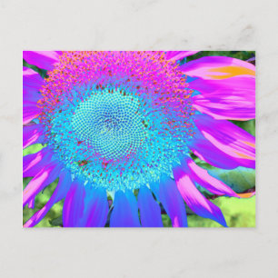 Elegante Blaue rosa lila retro Sonnenblume Postkarte