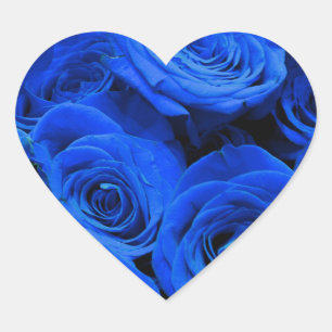 Elegante blaue Rosen blaue Blumen blaues Floral Herz-Aufkleber