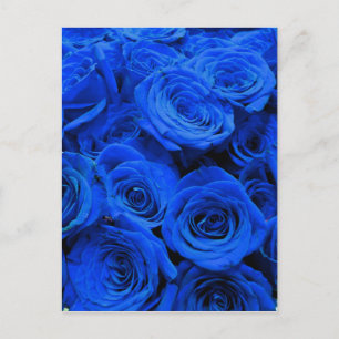 Elegante blaue Rosen blaue Blumen blaues Floral Postkarte