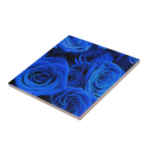Elegante blaue Rosen blaue Blumen blaues Florales Fliese