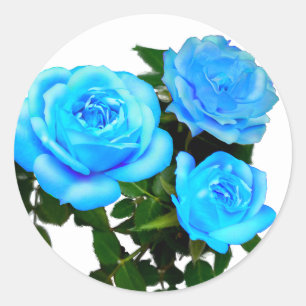 Elegante Blaugrüne Rosen Blaue Blumen Blaue Blüten Runder Aufkleber