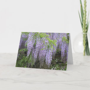 Elegante Blume der Lila Wisteria Karte