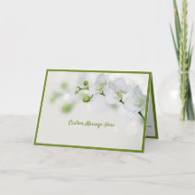 Elegante Blume der Weißen Orchideen Grüne Buds Rom