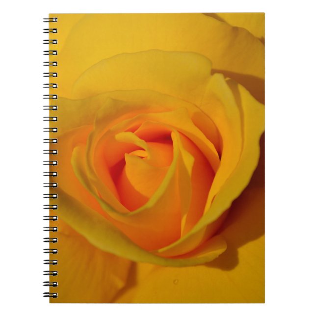 Elegante Blume Gelb Rose Notizblock (Vorderseite)