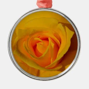 Elegante Blume Gelb Rose Silbernes Ornament