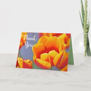 Elegante Blume Gelb und Rot Tulip Danke