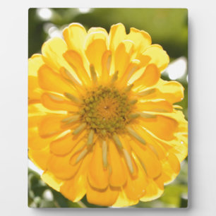 Elegante Blume mit Blumen Fotoplatte