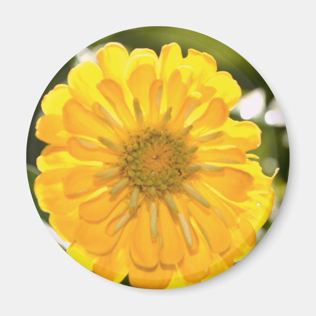 Elegante Blume mit Blumen Magnet (Vorne)