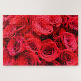 Elegante Blume mit Blumen Rote Rose Rose Garten