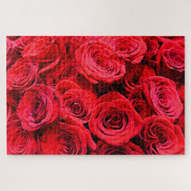 Elegante Blume mit Blumen Rote Rose Rose Garten (Horizontal)