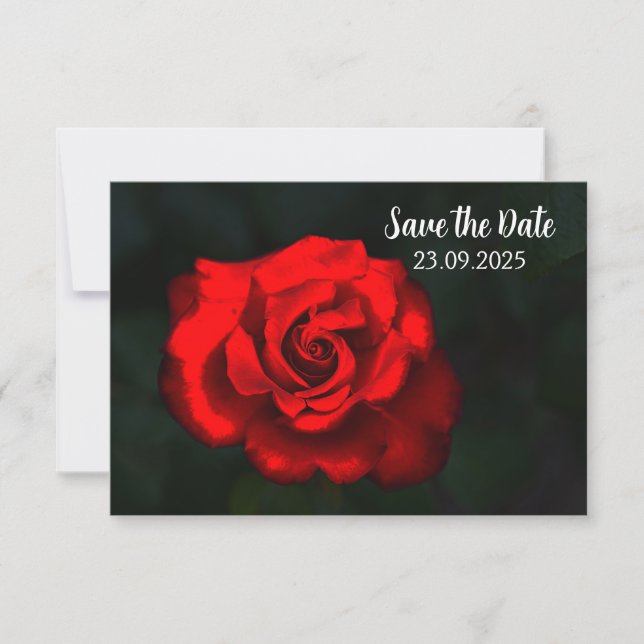 Elegante Blume Rote Rose Save the Date (Vorderseite)