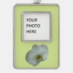 Elegante Blume Weiß Orchid Botanisch Rahmen-Ornament Silber