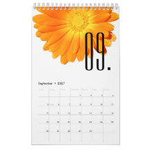 Elegante Blumen Bunte Blumen Blumenliebhaber 2027