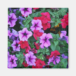 Elegante Blumenkarte (3) Magnet