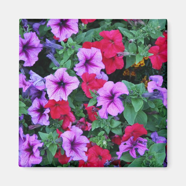 Elegante Blumenkarte (3) Magnet (Vorne)