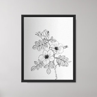 Elegante Blumenstrauß-Linie Kunstdruckerei - Minim Leinwanddruck