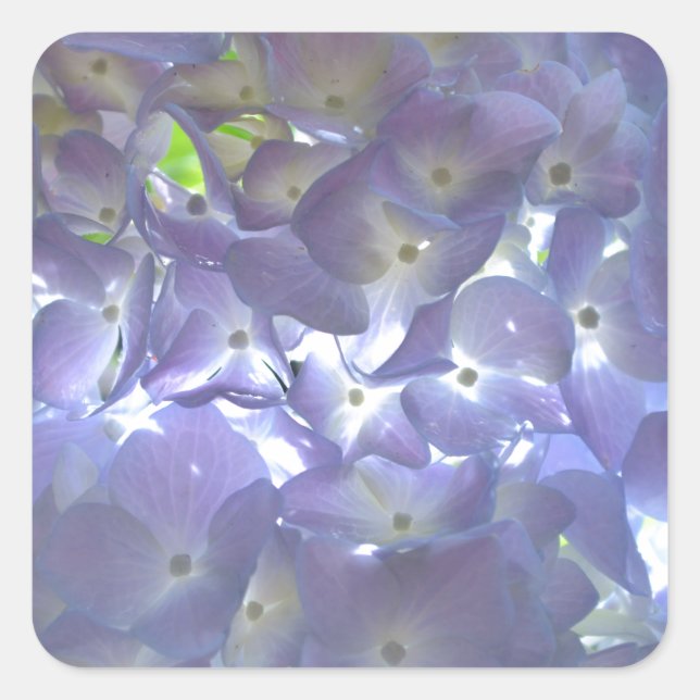 Elegante boho staubige lila Blumenarten Blume Quadratischer Aufkleber (Vorderseite)