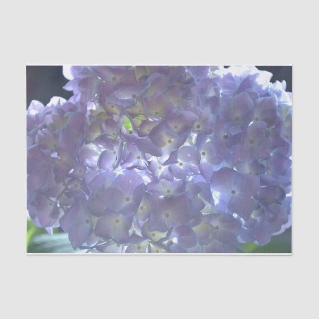 Elegante boho staubige lila Blumenarten Blume Seidenpapier (Vorderseite)