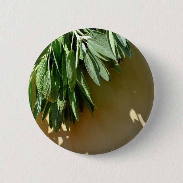 Elegante botanisch-grüne Kräuter Blätter Salbei Button (Vorderseite)
