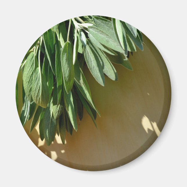 Elegante botanisch-grüne Kräuter Blätter Salbei Magnet (Vorne)