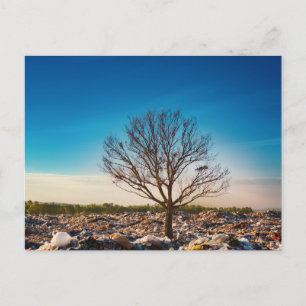 Elegante bunte Reise-Postkarte mit Baum Feiertagspostkarte